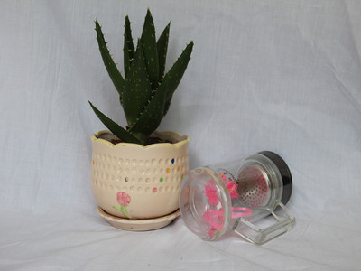 【尚魔斯廠供各高中檔雙層玻璃杯口杯 辦公杯 水晶杯 普通杯子批發(fā)】價格,廠家,圖片,杯子,永康市尚魔斯五金制品廠-